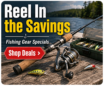 Fishing Reels