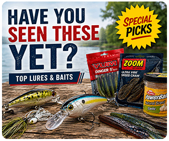 Lures and Bait
