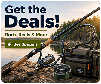 Rods & Reels