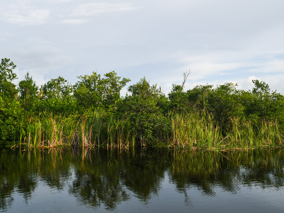 Indigo Pond stocking