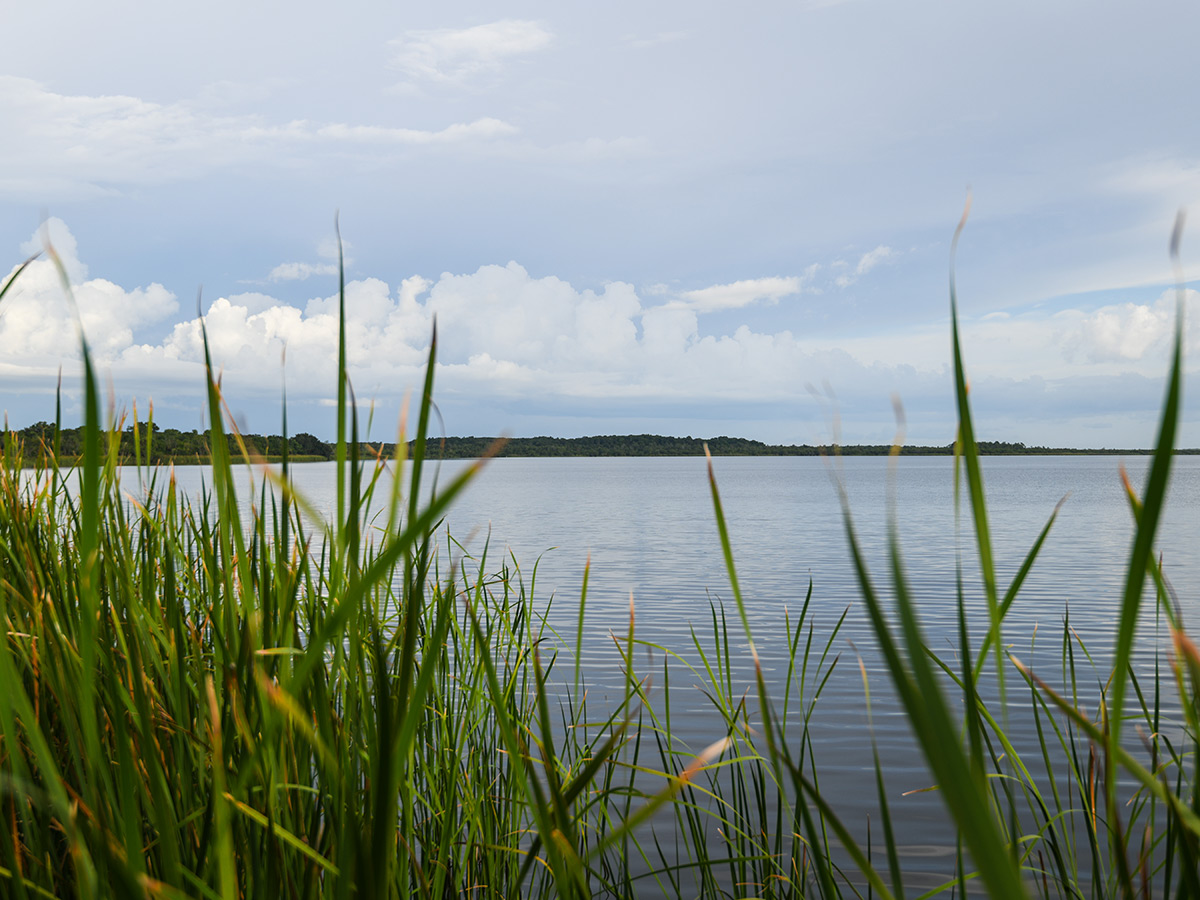 Arapooish Pond stocking