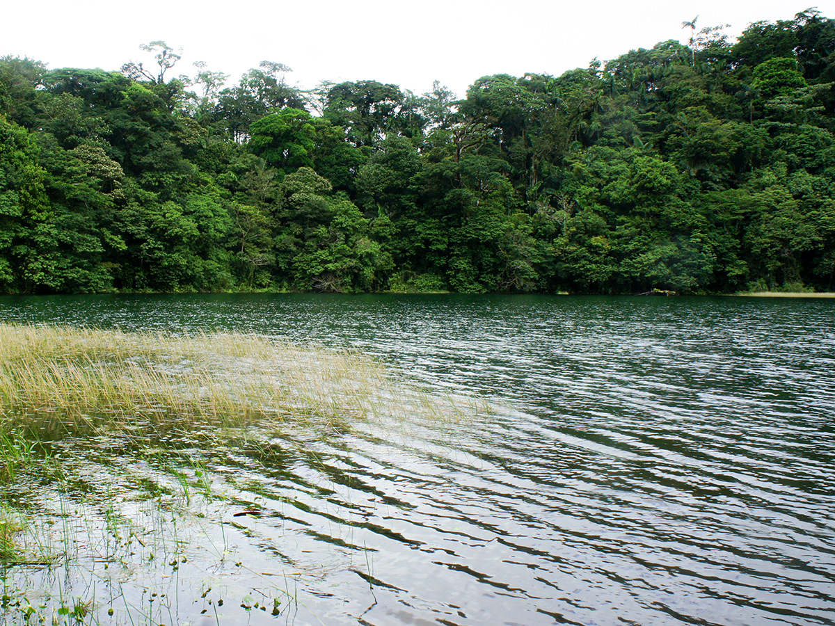 Sebewaing River stocking